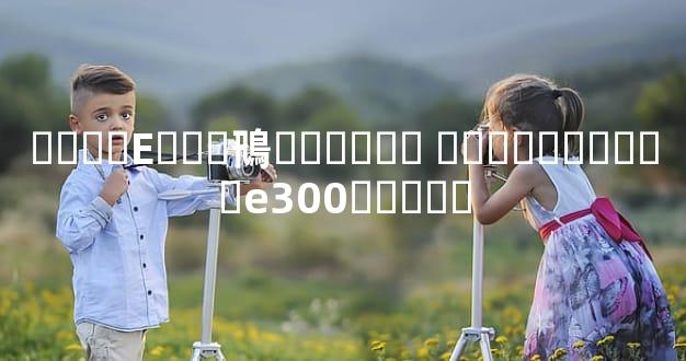 ����E���鳵���޼۸� �����⳵����e300����Ǯ